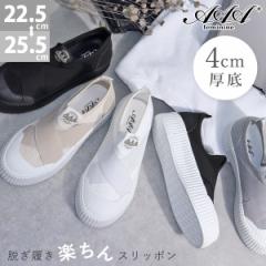 Xj[J[ fB[X Xb| NXS NXoh  4cmq[ ₷ ubN zCg No.3403 22.5-25.5cm AAA+ Fe