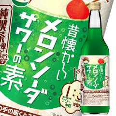 送料無料 アルマテラ 有機アガベシロップ RAW DARK330g瓶×2ケース（全