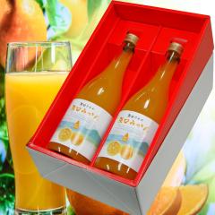 �����݂���@100%�W���[�X�@�v���~�A��720ml 2�{�����@���Ε� �M�t�g ������ �h�V �a����