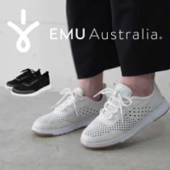 {Ki@EMU Australia G~ G~[ Xj[J[ Miki W12497 y 􂦂 Xj[J[  mE[ E[ fB[X C