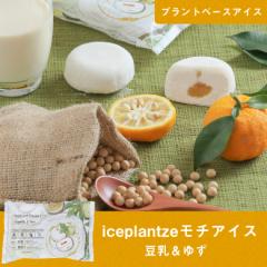 iceplantze `ACX 䂸