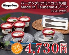 (アイス ギフト) ハーゲンダッツ ミニカップ6個＆Made in TSUBAMEアイススプーン2個セット(送料込)(ラッピング付)