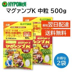 }O@vK  500g QZbg }Kv nC|lbNX Aւ At 엿  i PN v^[  T{e 