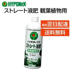 �n�C�|�l�b�N�X �X�g���[�g�t�� �ϗt�A���p 600mL �엿 ���| �|�g�X �x���W���~�� �J�|�b�N �h���Z�i �V�_ �I���d������ �X�p�V�t�B���� 