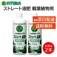 �n�C�|�l�b�N�X �X�g���[�g�t�� �ϗt�A���p 2�{�Z�b�g 600mL �엿 ���| �|�g�X �x���W���~�� �J�|�b�N �h���Z�i �V�_ �I���d������ �X�p