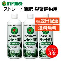 �n�C�|�l�b�N�X �X�g���[�g�t�� �ϗt�A���p 3�{�Z�b�g 600mL �엿 ���| �|�g�X �x���W���~�� �J�|�b�N �h���Z�i �V�_ �I���d������ �X�p