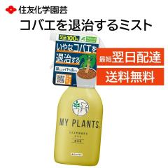 RoGގ~Xg MY PLANTS E 쏜 Xv[ 250ml ϗtA ̒ H ɂȂ Jfi^j Xf QW nT