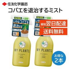 RoGގ~Xg Q{Zbg MY PLANTS E 쏜 Xv[ 250ml ϗtA ̒ H ɂȂ Jfi^j Xf