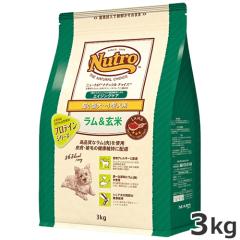 �j���[�g�� �i�`�������`���C�X ���������� �����^���`���^���p �G�C�W���O�P�A 3kg