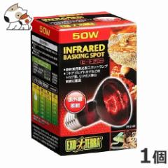 GEX �q�[�g�O���[ 50W