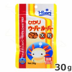 �y���[���ցz�L���[���� �Ђ���E�[�p�[���[�p�[ �嗱 30g ������ �G�T ��������