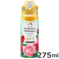 aw Rybg tOXVv[mV nslX[Y̍ QVT