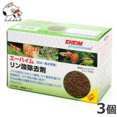 �G�[�n�C�� �����_������ 3��