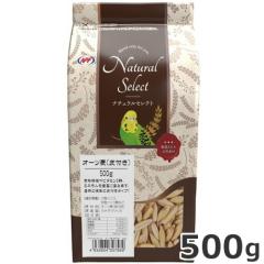 NPF i`ZNg I[c(t) 500g  t[h