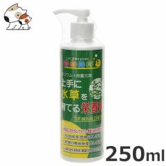 �\�l�P�~�t�@ ���ɐ�������Ă�h�{�� 250ml