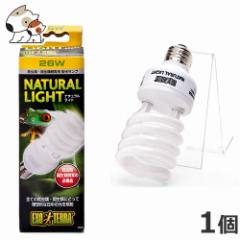 GEX �i�`���������C�g 26W