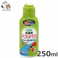 GEX �T�C�N�� 250ml