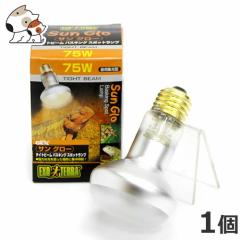 GEX �T���O���[�^�C�g�r�[���X�|�b�g�����v 75W