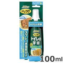 �g�C���̊w�K 100ml