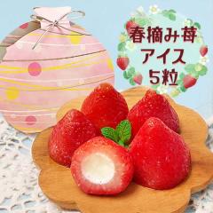 �a���� �������A�C�X �M�t�g ���Ε� �������� �t�E��䕃A�C�X5�� �N���X�}�X �X�C�[�c �܂Ƃߔ��� ��ʒ���