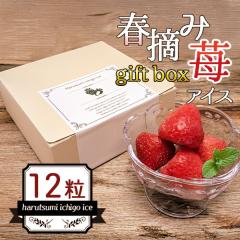 �a���� �M�t�g ��j�� ������ �A�C�X �N���X�}�X�M�t�g ��Ε� ���蕨 �t�E��䕃A�C�X 12�� �X�C�[�c �M�t�g ���j�� ������