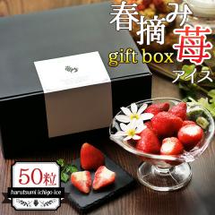 �a���� �M�t�g �X�C�[�c �������A�C�X �������� ��j�� � �v���[���g �M�t�g�{�b�N�X �t�E��䕃A�C�X 50��