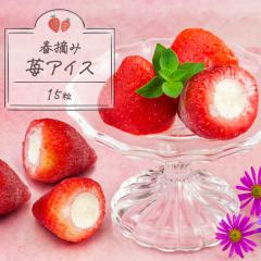 �a���� �M�t�g �C�`�S�A�C�X ���Ε� �N���X�}�X ��j�� �t�E��䕃A�C�X15�� �X�C�[�c �M�t�g �A�C�X�N���[�� ���j�� ������