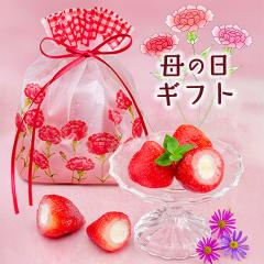 ��̓� ���b�Z�[�W �̂��Ή� �M�t�g �X�C�[�c ������ �A�C�X �t�E��� 10�� �M�t�g�o�b�O � �J�[�l�[�V������ �Ⓚ�X�C�[�c �����A