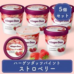 �X�C�[�c �M�t�g �A�C�X�N���[�� �n�[�Q���_�b�c �X�g���x���[ �p�C���g 473ml �t�@�~���[�T�C�Y 5�Z�b�g �������� �v���[���g �a���� 