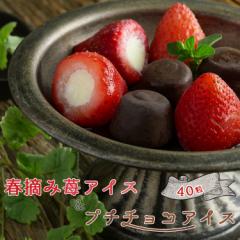 �a���� �A�C�X�N���[�� �M�t�g �������� �t�E��䕃A�C�X���v�`�`���R�A�C�X 40�� �Ⓚ������ � ���蕨 ��Ε� �N���X�}�X