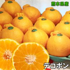 デコポン みかん 2.5kg ご家庭用 本家 熊本県産 デコポン 2.5kg 6〜10個入 贈り物 ギフト クール便送料別
