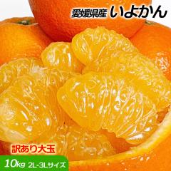 ���悩�� �󂠂� ��� 10Kg�� �������� ���Q�� �ɗ\�� 2L-3L�T�C�Y ��9kg�ȏ� ������ �Z�J