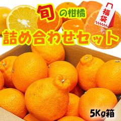 ���k ���� �l�ߍ��킹 3�� �H�ה�� �󂠂� 5kg ���񂫂� �݂��� �������� �ʕ��l���� �ʎ� �t���[�c  �ƒ�p