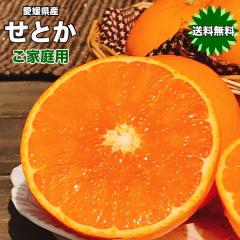 ���Ƃ� �݂��� �������� ���k�̑�g�� �󂠂� ���Q���Y ���Ƃ� 3L�T�C�Y 5kg ���ƒ�p ������ ��������