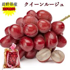 TV�ŏЉ�ꂽ �Ԃ��V���C���}�X�J�b�g �Ԃǂ� �u�h�E ���� �N�C�[�����[�W�� �������� ���쌧�Y �N�C�[�����[�W�� ���ϔ� 1�[�� 600g�M