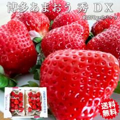 ������ �C�`�S ���܂��� �������� �������Y ���܂��� DX 2�p�b�N���� �t���[�c �ʕ� �C�`�S ������ � DX �f���b�N�X �M�t�g ��̓�