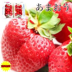 ���� ������ �C�`�S � �������� �������Y ���� ���܂��� �G�i DX 2�p�b�N���� ��540g�i270g�~2�p�b�N�j�t���[�c �ʕ� �C�`�S ������ � 