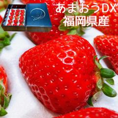 ������ ���� ���܂��� �C�`�S � �������� �������Y ���� ���܂��� �G�i DX ���ϔ�6-15������ �t���[�c �ʕ� �C�`�S ������ � DX �f���b