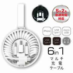 [dP[u iphone 3in1 ACtH X}z[d ^CvC }[d [d USB Type-C microUSB 6in1 f[^] ipad 5V2A Android u