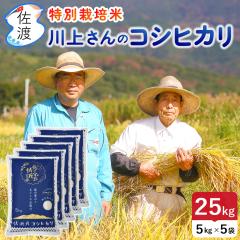 �ߘa7�N�Y ���n�Y�R�V�q�J�� 25kg ��コ��̃v���~�A���� ���ʍ͔|�� �_��E���w�엿5���� (����/����)(/������/7���Â��F�L��)�y���ʕ�