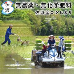 �ߘa7�N�Y�y ���_��E�����w�엿 �z ���n�Y�R�V�q�J�� 10kg�i����/����/������/7���Â�) ���R�[�ň�Ă����ʍ͔|�� �V�� ���n �ʔ� �� 