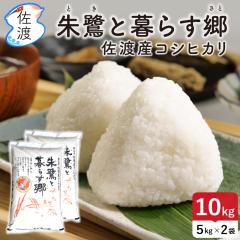 yVė\zߘa7NY Fؕ nYRVqJ 10kgi//Â/ājƕ炷 _򉻊w엿5 y(