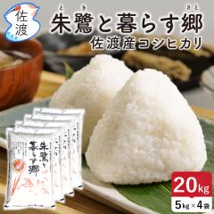 �ߘa7�N�Y ���F�ؕ� ���n�Y�R�V�q�J�� 20kg�i����/������/�����Â�/���āj���ƕ�炷�� �_�򉻊w�엿5���� �y��������(���ꌧ����)�z