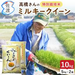 yVāzߘa7NY nY~L[NC[10kg (/)(//7ÂFL)  ``AsJsJŊÖ̂lC yʕ(