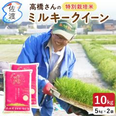 �y�V�āz�ߘa7�N�Y ���n�Y�~���L�[�N�C�[��10kg (����/����)(/������/7���Â��F�L��)  ���`���`�A�s�J�s�J�ŊÖ��̂���l�C�� �y���ʕ�(