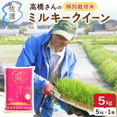 �y�V�āz�ߘa7�N�Y ���n�Y�~���L�[�N�C�[��5kg (����/����)(/������/7���Â��F�L��)  ���`���`�A�s�J�s�J�ŊÖ��̂���l�C�� �y���ʕ�(��