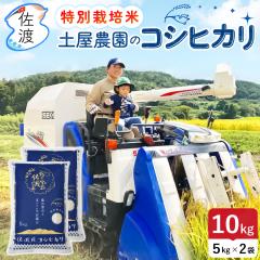 yʌz ߘa6NY nYRVqJ10kg i//ājE_ƈY R[ňĂʍ͔| yʕւŔz