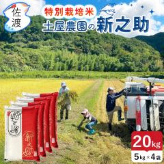 ���n�Y �V�V��20kg  �ߘa7�N�Y �y���_��  �i����/����/������/7���Â��j���R�[�̂��� ���ʍ͔|�� �������� �������� ��߂Ă��������� 