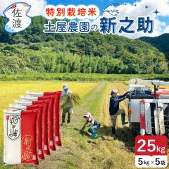 ���n�Y �V�V��25kg  �ߘa7�N�Y �y���_��  �i����/����/������/7���Â��j���R�[�̂��� ���ʍ͔|�� �������� �������� ��߂Ă��������� 