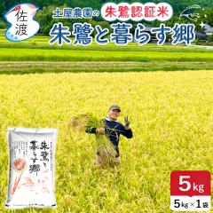 yVāzߘa7NY y_ Fؕ nYRVqJ 5kgi//Â/ājR[̂ ƕ炷 _򉻊w